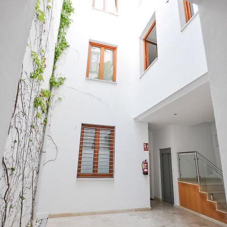 Renthas Vid Loft Apartment Malaga Exterior photo
